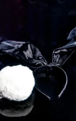 PrettyLittleThing Hair Accessories*Satin Bunny Ears With Tail