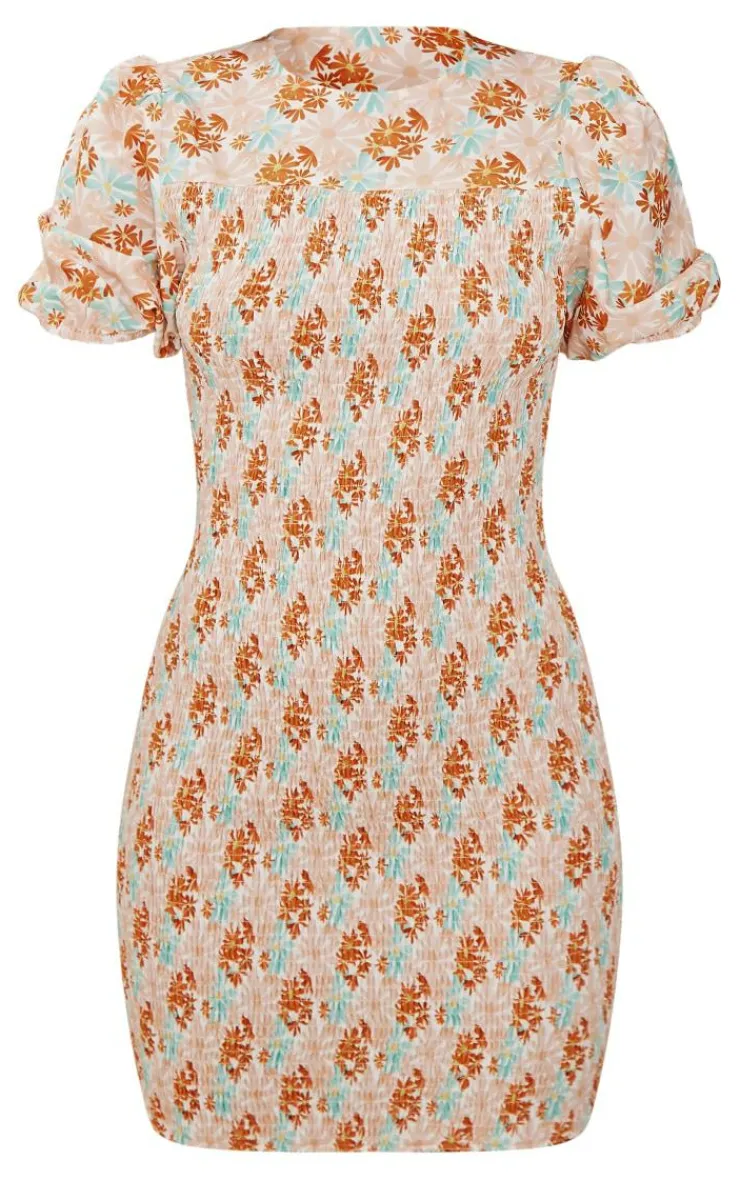 Floral Print Shirred Puff Sleeve Bodycon Dress-PrettyLittleThing