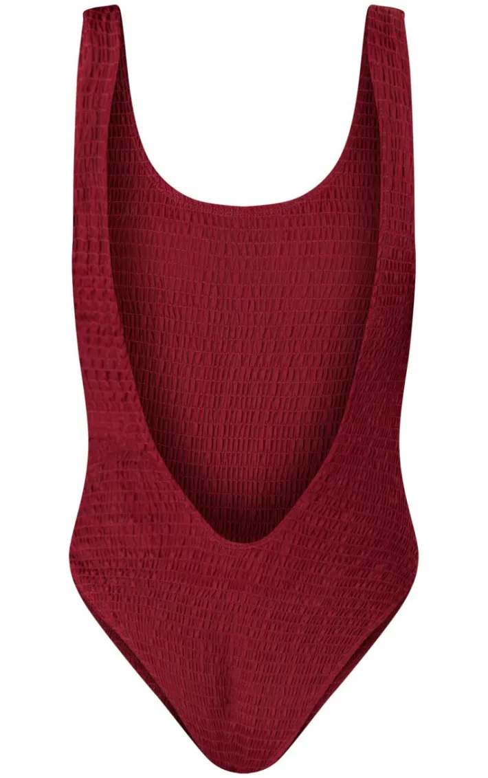 Burgundy Shirred Backless Swimsuit