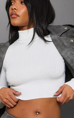 PrettyLittleThing Sweaters*Ribbed Knitted Roll Neck Cropped Sweater