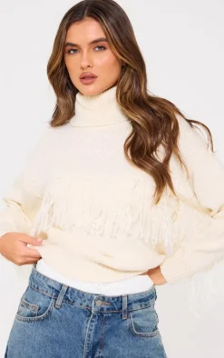 PrettyLittleThing Sweaters*Western Fringing Detail Roll Neck Knit Sweater