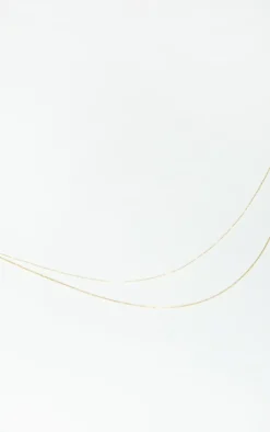 PrettyLittleThing Necklaces*Dainty Simple Chain Double Layering Necklace