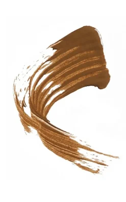 PrettyLittleThing Eyebrows*Makeup Revolution Brow Gel