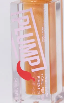 PrettyLittleThing Lip Gloss*Maybelline Lifter Gloss Plumping Lip Gloss With Hyaluronic Acid and Chilli Pepper