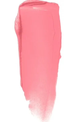 PrettyLittleThing Lip Gloss*NYX PMU Fat Oil Slick Click Lip Balm