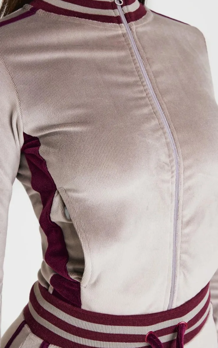 Sale PrettyLittleThing Petite Contrast Velour Fitted Longline Zip Up Jacket Mauve