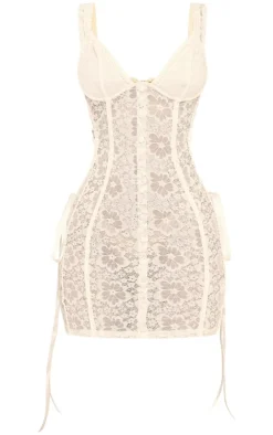Petite Stretch Lace Fitted Mini Dress-PrettyLittleThing Online