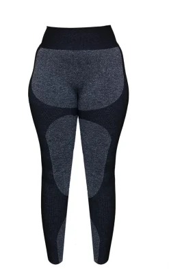 PrettyLittleThing Seamless Gym Wear*Plus Seamless 2 Tone Contour Leggings