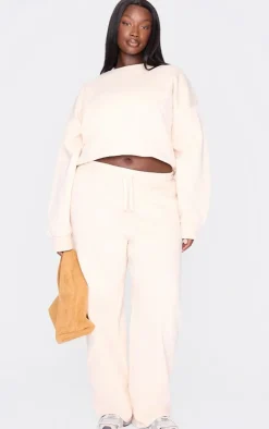 PrettyLittleThing Cream Sweatsuits*Plus Ecru Premium Basic Crew Neck Crop Sweatshirt