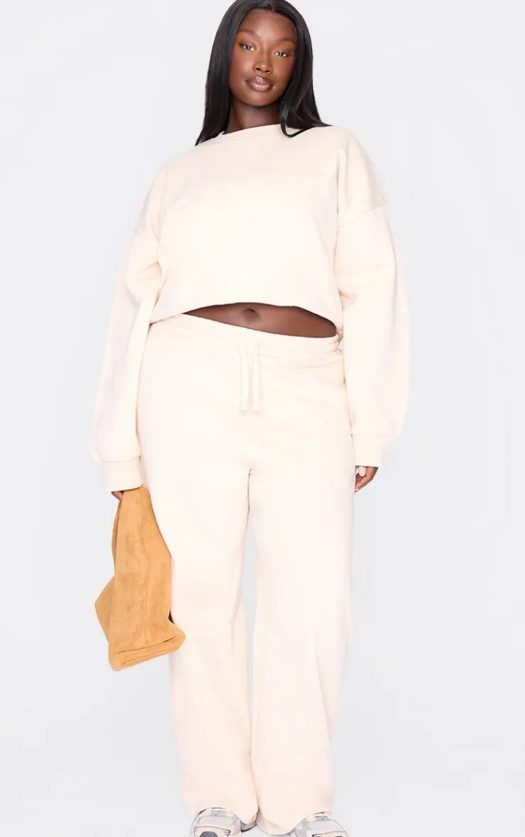 PrettyLittleThing Cream Sweatsuits*Plus Ecru Premium Basic Crew Neck Crop Sweatshirt