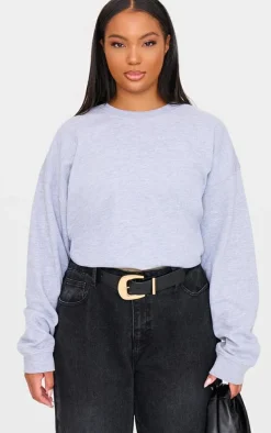 Plus Grey Plain Oversized Sweatshirt