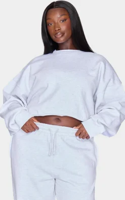Plus Grey Premium Basic Crew Neck Cropped Sweatshirt