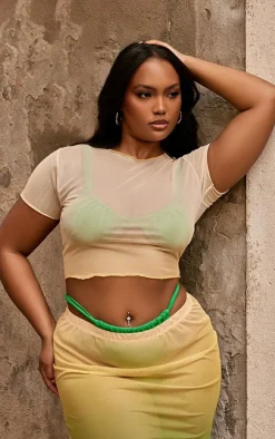 Best PrettyLittleThing Plus Green Ombre Printed Sheer Mesh Crop Top Mint