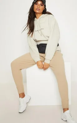 PrettyLittleThing Basic Tops*Sand Oversized Sweat Basic Hoodie