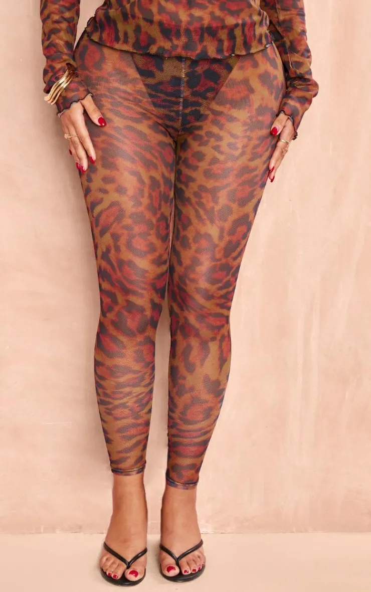 Best PrettyLittleThing Shape Leopard Mesh Leggings Black