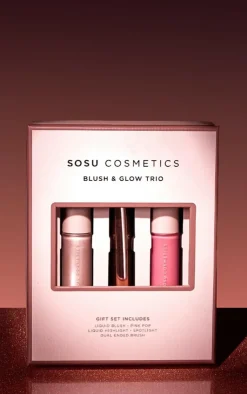 PrettyLittleThing Highlighter*Sosu Blush & Highlight Set