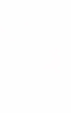 Clearance PrettyLittleThing Broderie Strappy Crop Top White