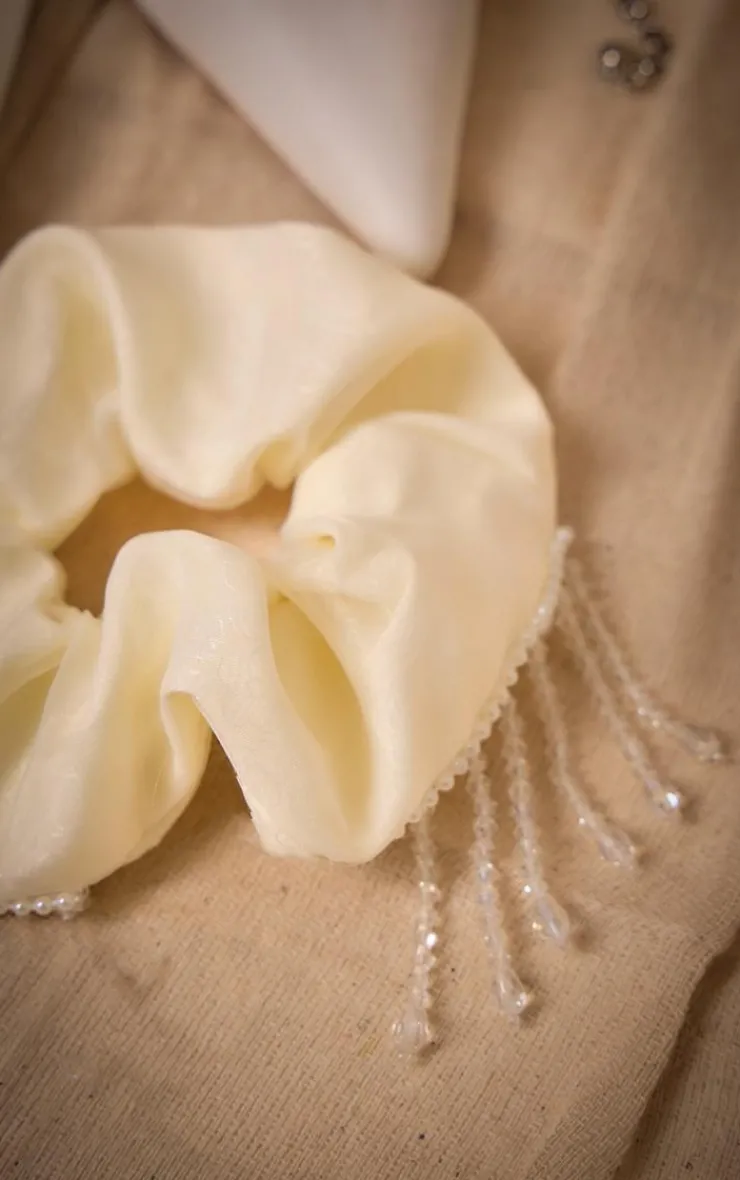 PrettyLittleThing Hair Accessories*Pearl Tassel Organza Scrunchie